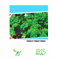 Iris Imported Parsley 40 Seeds